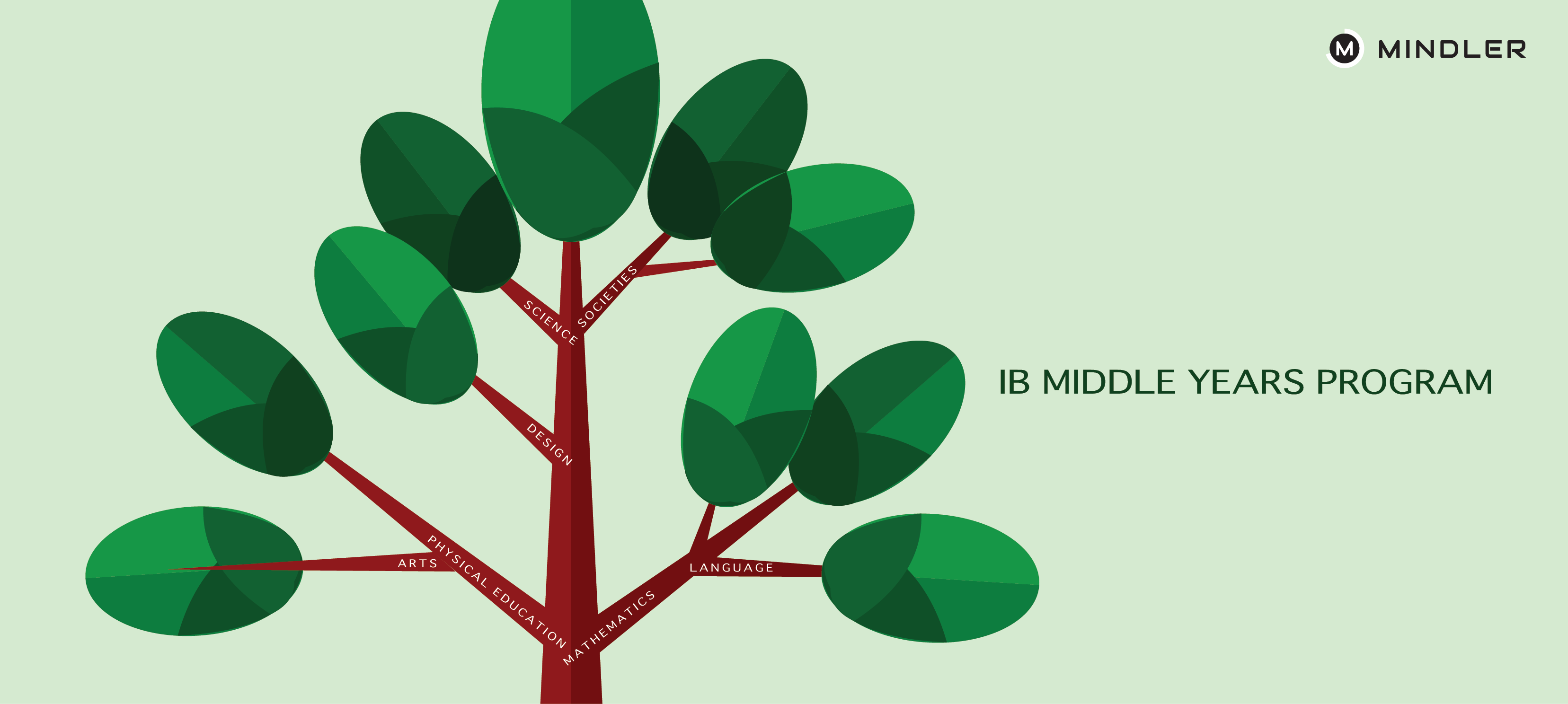 MYP-IB-Board
